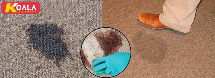 Carpet Cleaning Craigmore